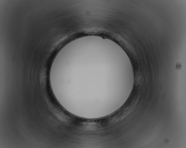 X0000101180448200807181452