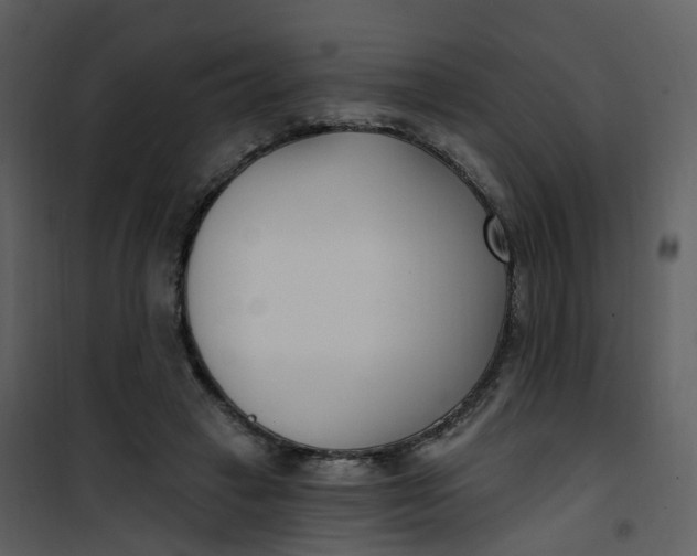 X0000101180449200807181452