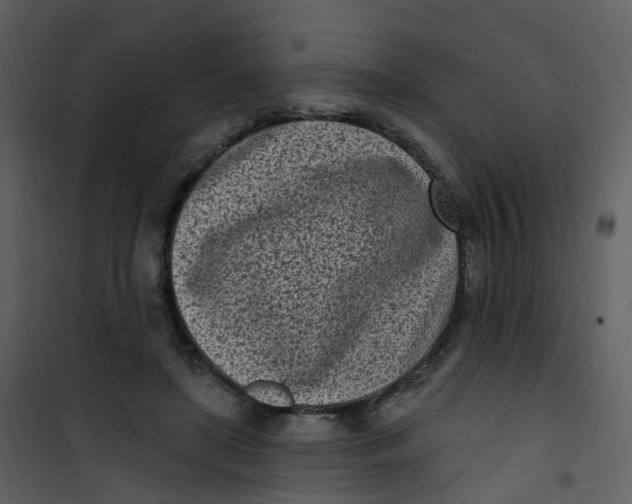 X0000101180451200807181452