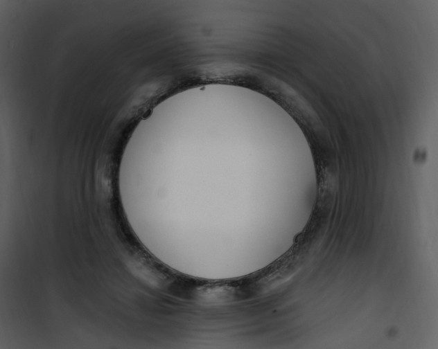 X0000101180452200807181452