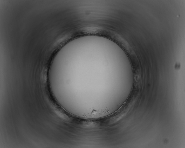 X0000101180454200807181452