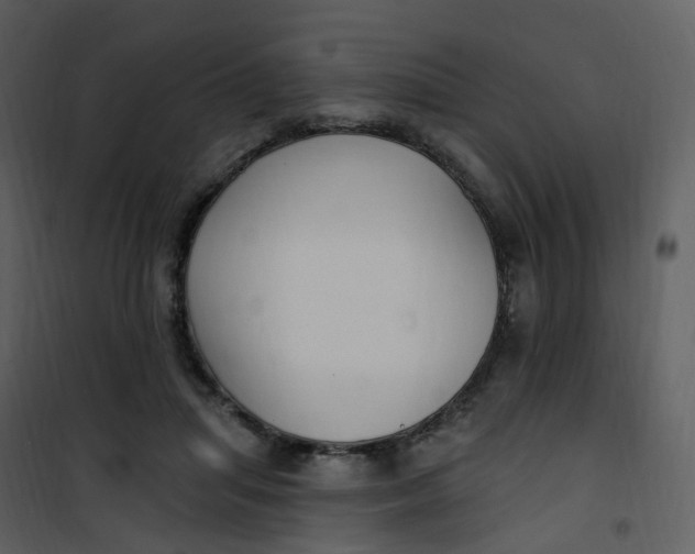 X0000101180455200807181452