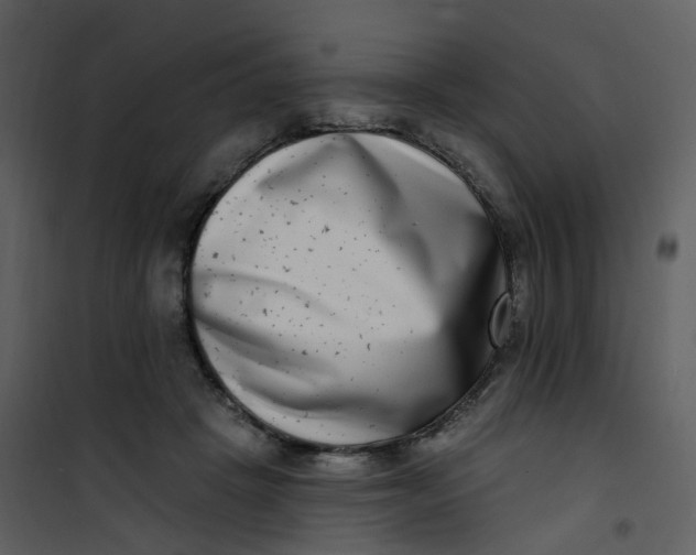 X0000101180457200807181452