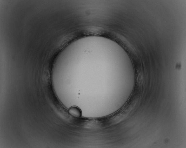 X0000101180459200807181452