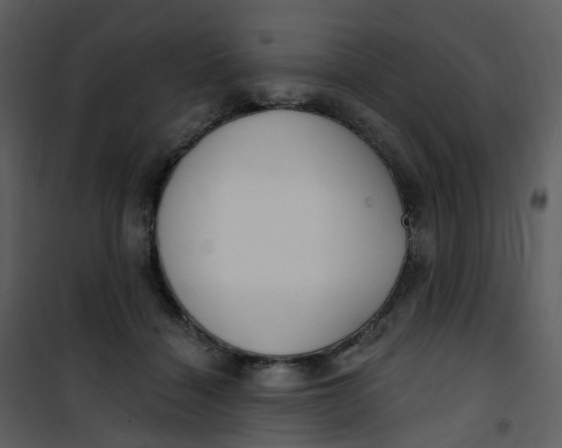 X0000101180460200807181452