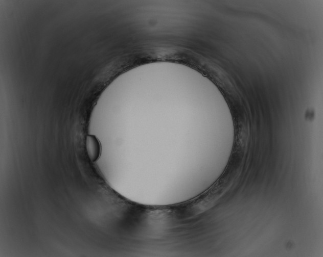 X0000101180461200807181452