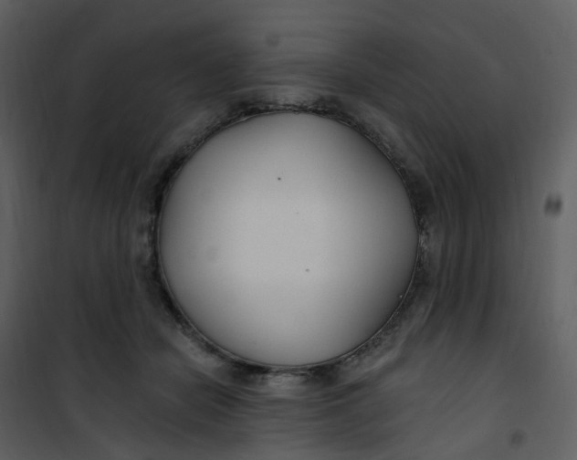 X0000101180462200807181452