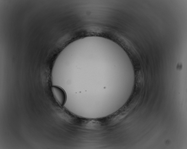 X0000101180463200807181452