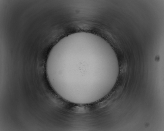 X0000101180464200807181452