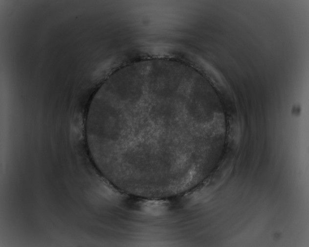 X0000101180465200807181452