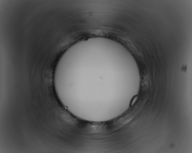 X0000101180466200807181452