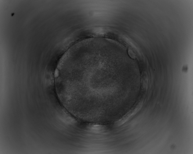 X0000101180467200807181452