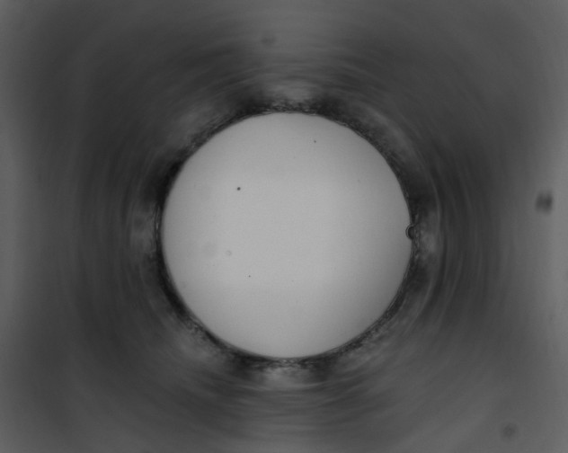 X0000101180468200807181452