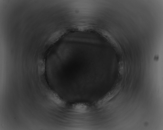 X0000101180471200807181452