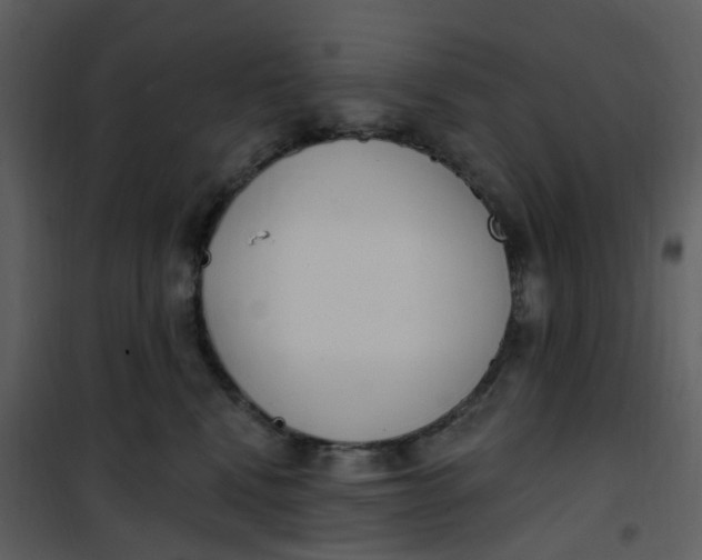 X0000101180472200807181452