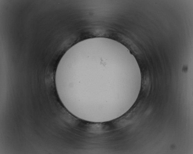 X0000101180473200807181452