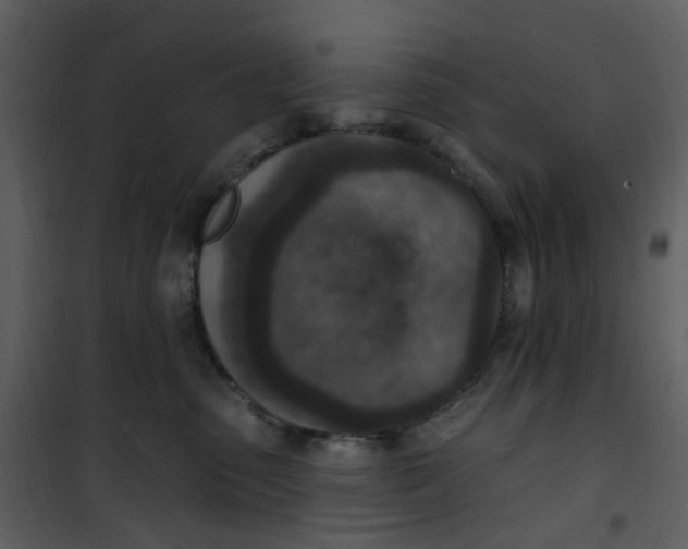 X0000101180475200807181452