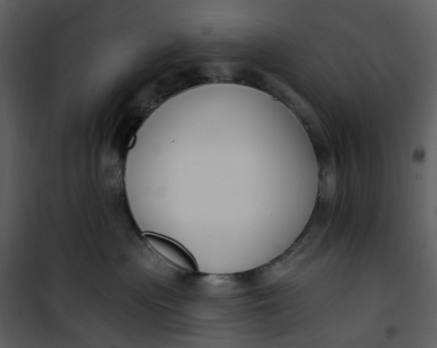 X0000101180477200807181452