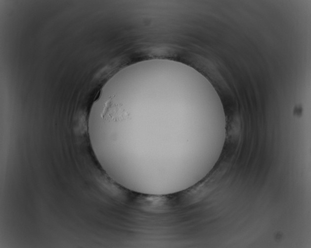 X0000101180478200807181452