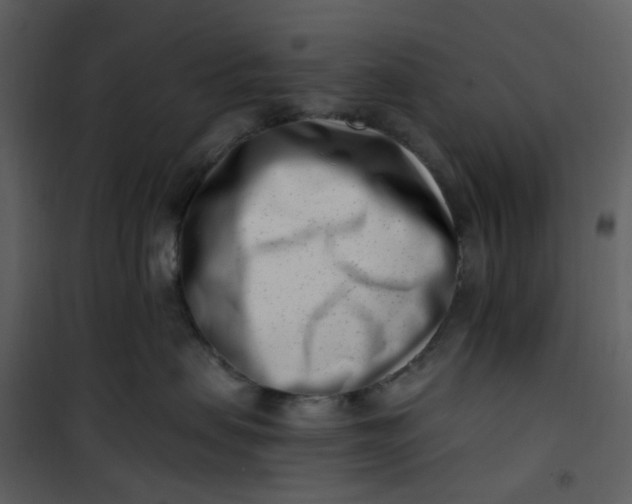 X0000101180479200807181452