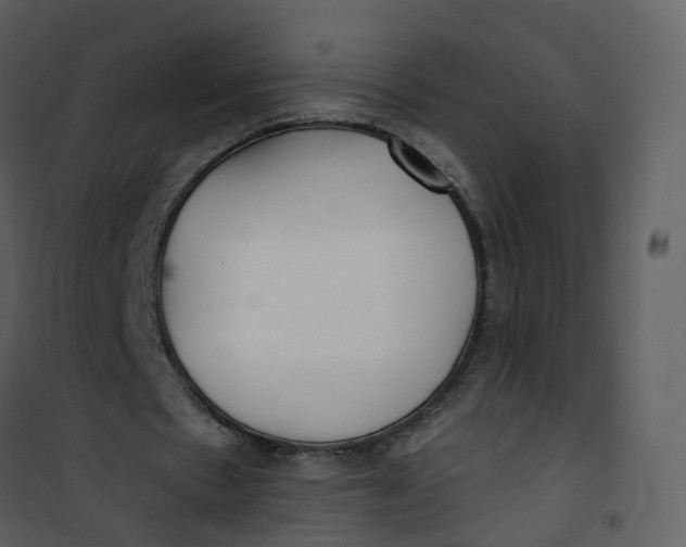 X0000101180481200807181451