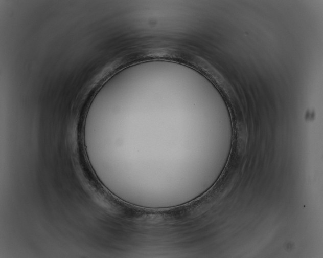 X0000101180482200807181451