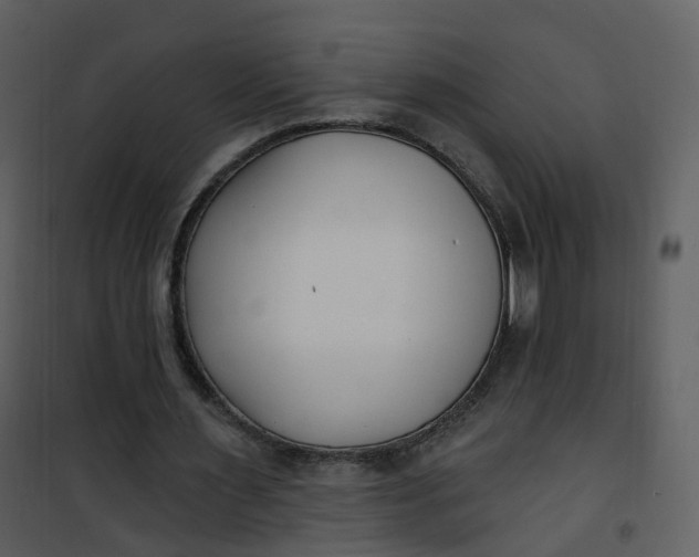 X0000101180483200807181451