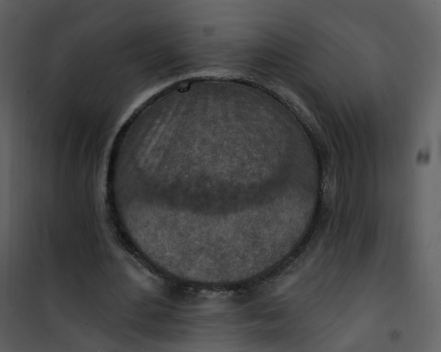 X0000101180484200807181451