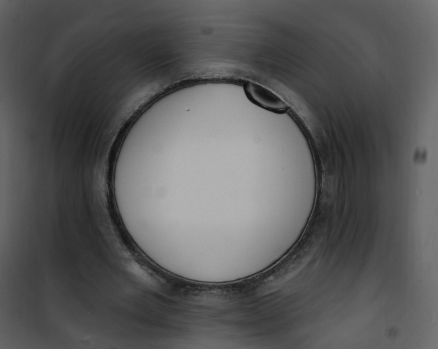 X0000101180485200807181451