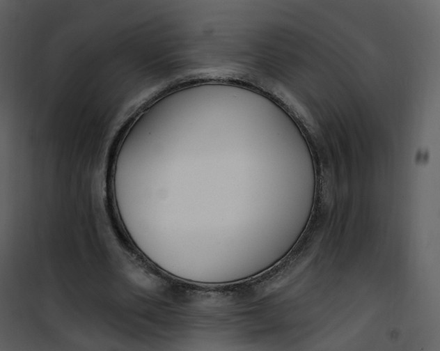 X0000101180486200807181451