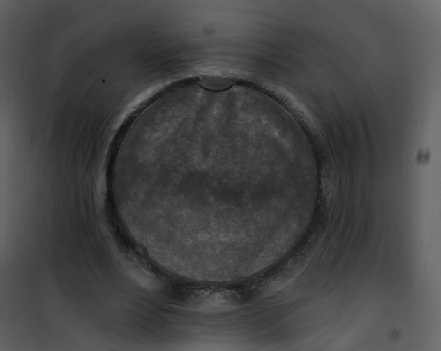 X0000101180488200807181451