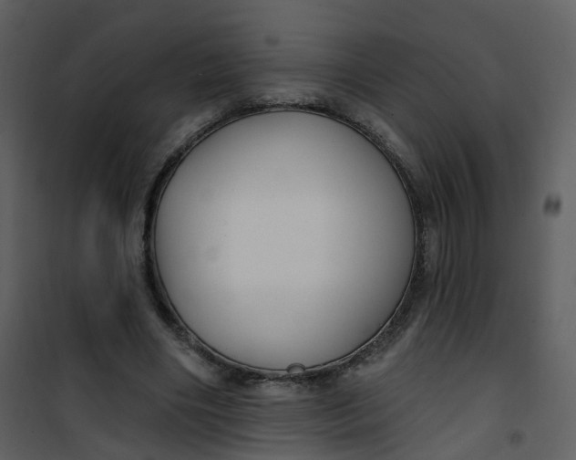 X0000101180490200807181451