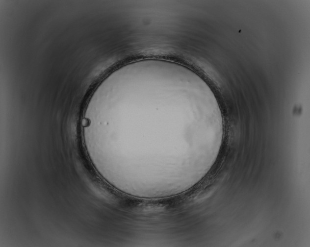 X0000101180491200807181451