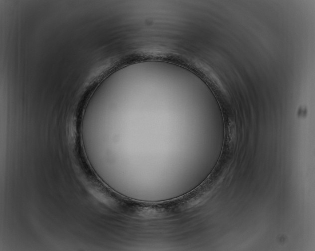 X0000101180494200807181451