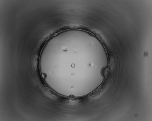 X0000101180495200807181451