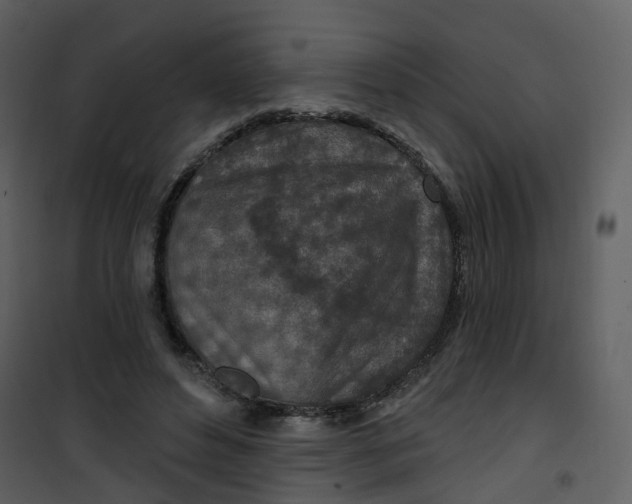 X0000101180496200807181451