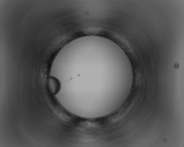 X0000101180498200807181451