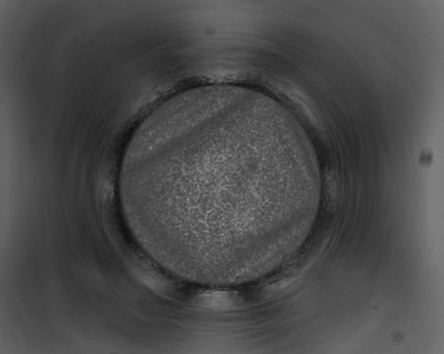 X0000101180499200807181451