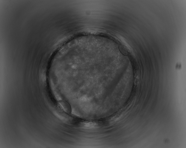 X0000101180500200807181451