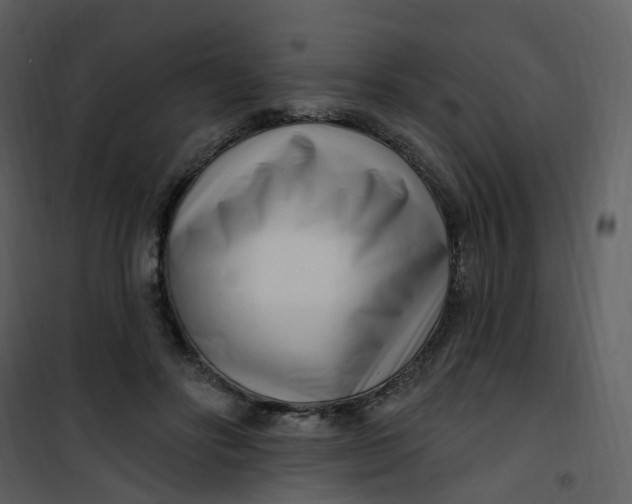 X0000101180502200807181451