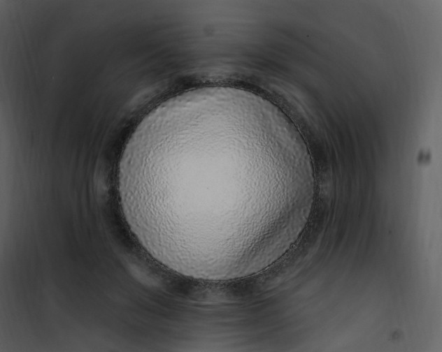 X0000101180503200807181451