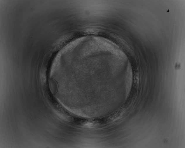 X0000101180504200807181451