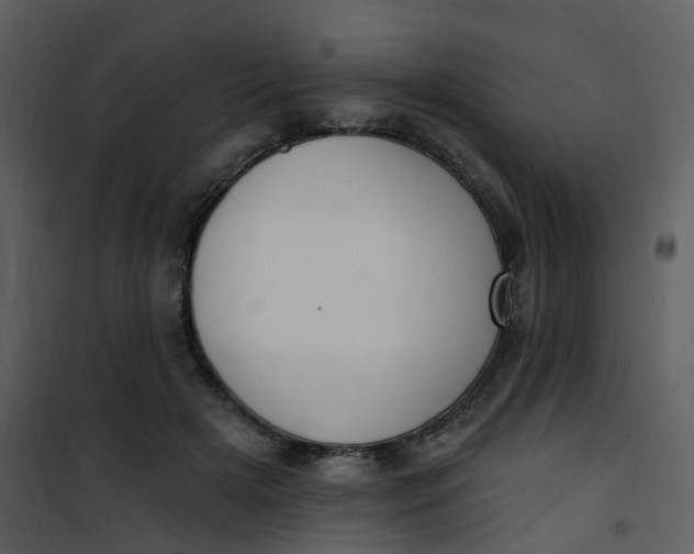 X0000101180505200807181451