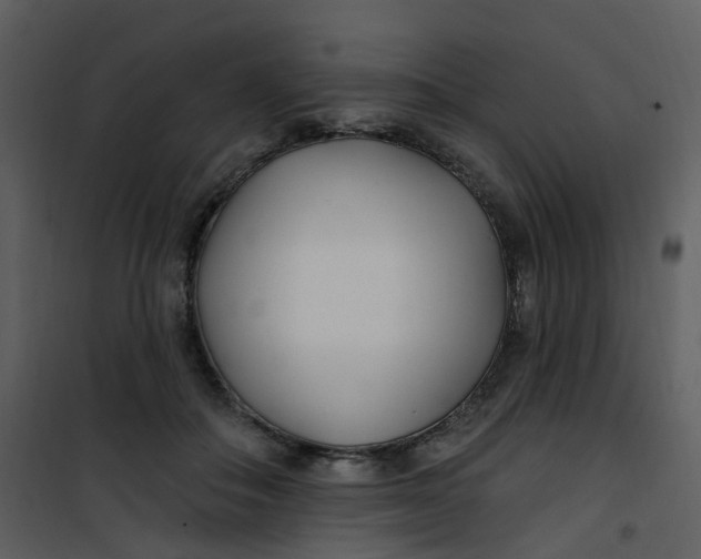 X0000101180506200807181451