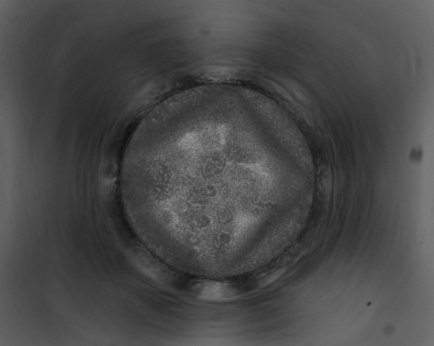 X0000101180507200807181451