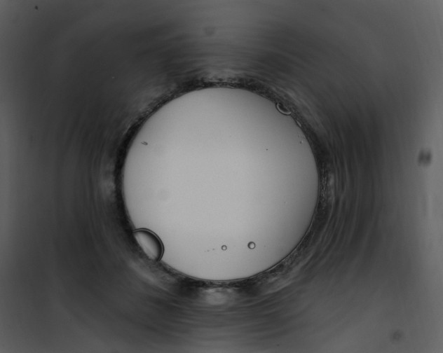 X0000101180508200807181451