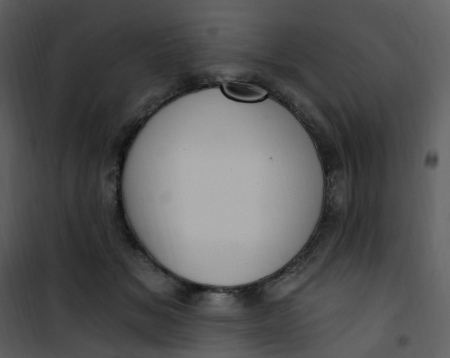 X0000101180509200807181451