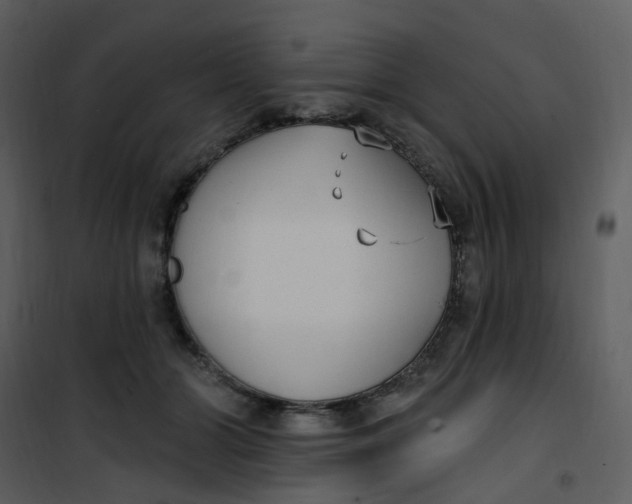 X0000101180510200807181451