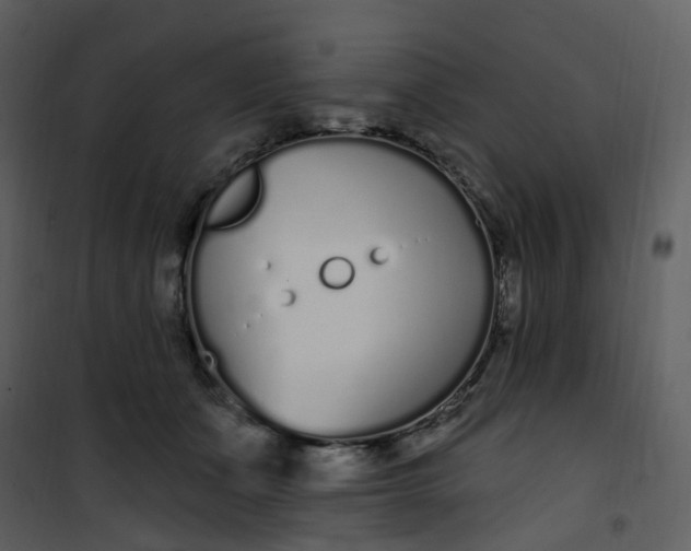 X0000101180511200807181451