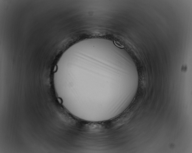 X0000101180512200807181451